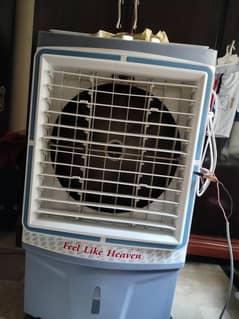 AC/DC Air Cooler