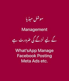 WhatsApp Management Facebook Posting Meta Ads etc