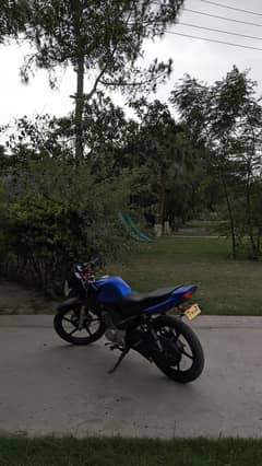 Yamaha Ybr 125