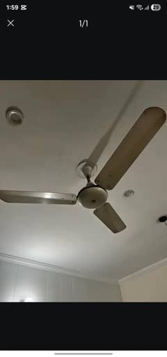 Ceiling Fan