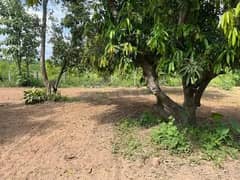 29 Kanal Agriculture Land Available For Sale Near Bypass Also Near Govt Nahar Millat Road Faisalabad