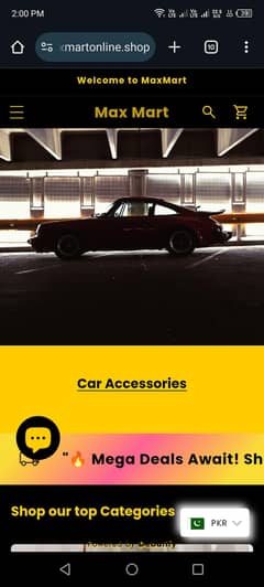 Shopfy Store For Sale