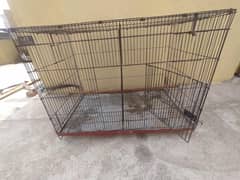 iron cage