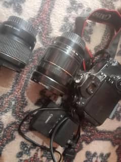 Canon 60D camera all OK with 2 lenses