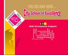 consultancy for schools