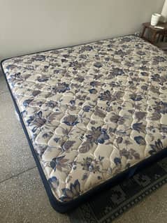 Master Alpha Spring Mattress for Sale