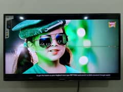 Ecostar Smart LED for Sale