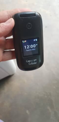 Huawei flip mobile (singl sim 03079436021)