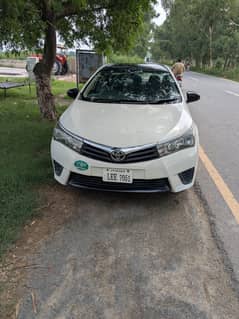 Corolla xli