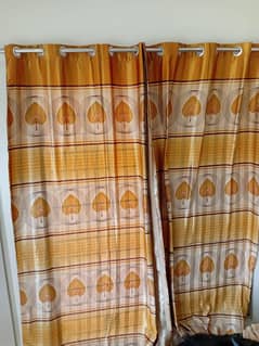 curtains