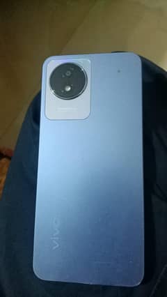 vivo