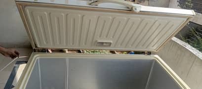 waves Freezer in good condition