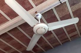 Adil Cieling Fan Full Size