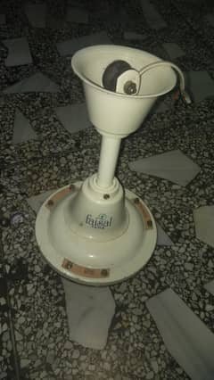 faisal fan