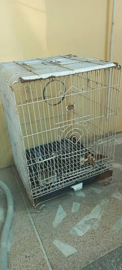 b. c brand iron cage for sale