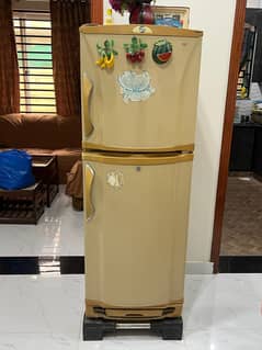 Pel Fridge for sale, Refrigerator
