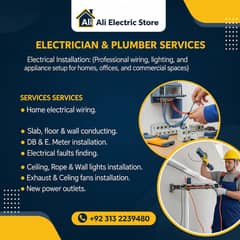 Electrition and plumber services available