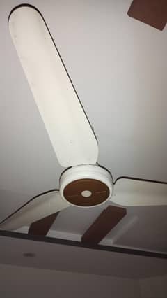 Lahore Fan