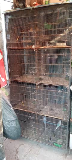 Birds Cages