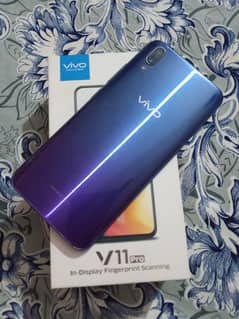 vivo