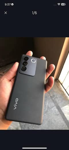 Vivo