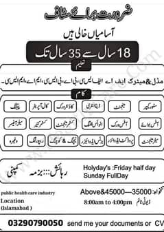 Staff needed for our company office.