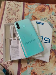 vivo