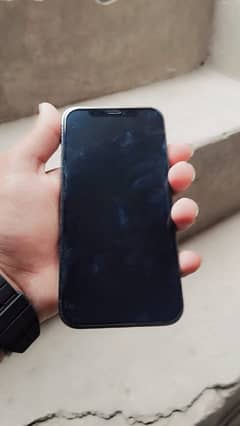 Saeed