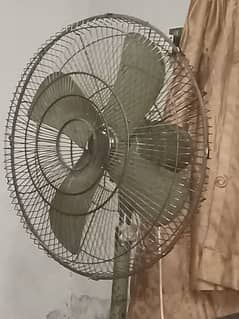 fan