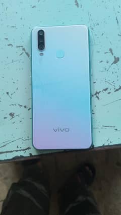 Vivo