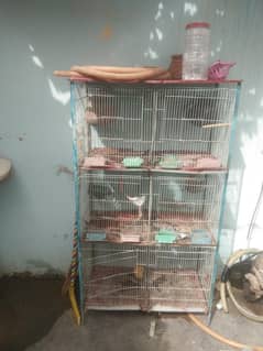 cage 6 portion and 2 pair java and 2 pair diamond dove