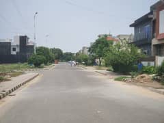 Plot