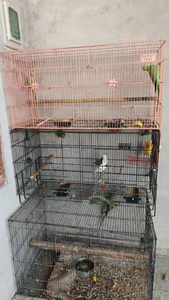All