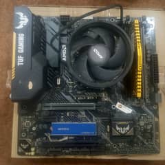 AMD