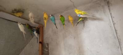 all