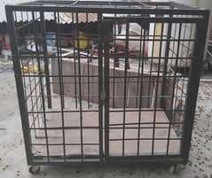 animal cage