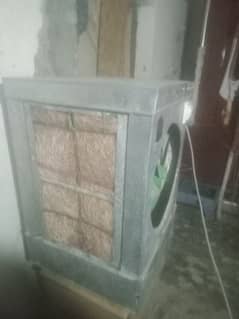 12 volt