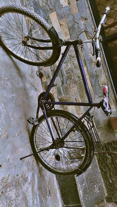 Cycle