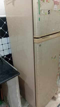 Fridgen _ Mediam Size _ Good condition