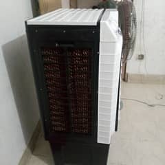 20000