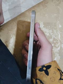 12 pro pta approved