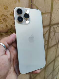iphone 13 pro max jv waterpak 100 health