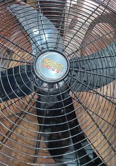 Fan l bracket fan l GFC Fan l GFC Bracket Fan l wall fan