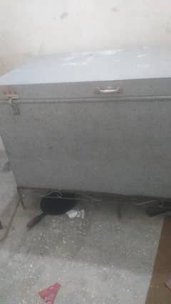 5 ft petti avail ha