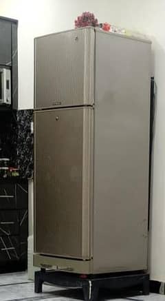 pel fridge