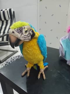Talking motion toy parrot imported macaw