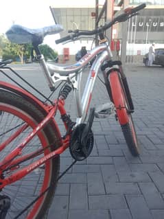 New bisecle