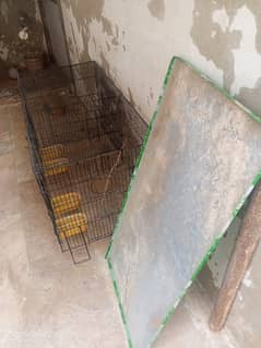 Birds cage