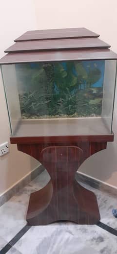 Aquarium