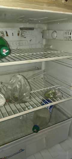 Pel Refrigerator Medium size